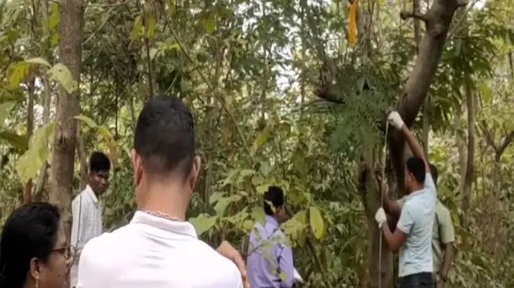Sundargarh: Missing Minor Girl Found Dead in Lulukidhi Forest