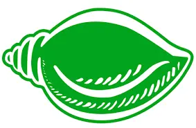BJD Makes Key Appointments to Its Youth and Student Wings