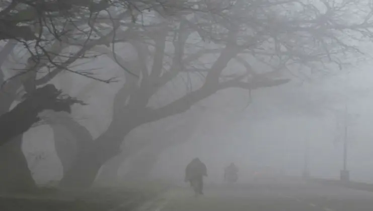 Cold Wave and Dense to Prevail in Odisha Districts until January 9