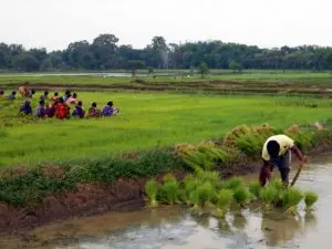 Odisha Budget: A Realistic Approach to Propell Growth With Social Justice