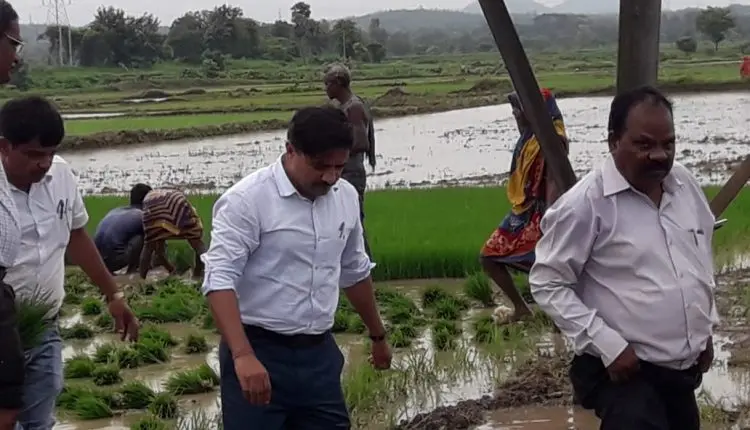 Ganjam Collector Turns Farmer