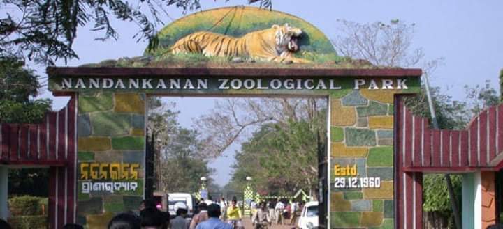 Nandankanan Zoological Park to Reopen Tomorrow