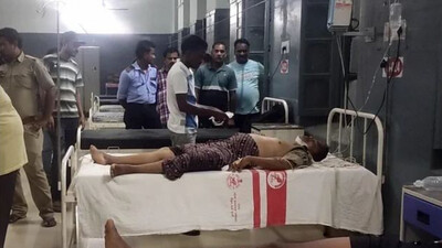 Forester And Contractual Worker Injured In Elephant Attack In Mayurbhanj